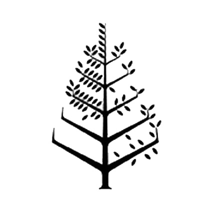 棕榈滩四季酒店 Logo